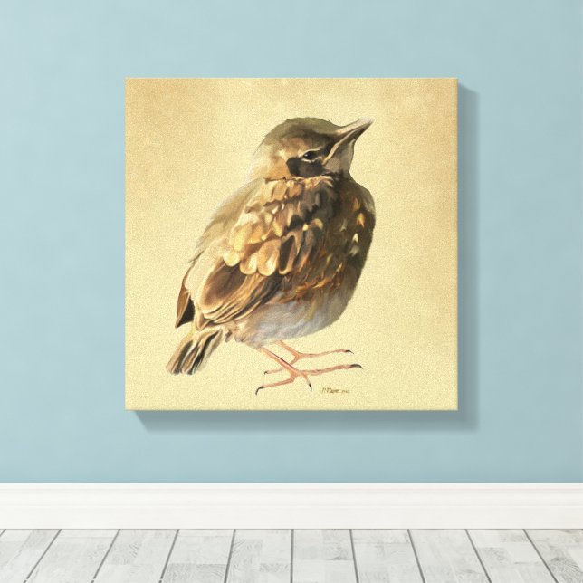 Toile Jeune merle noir au soleil (Insitu (Plancher de Bois))