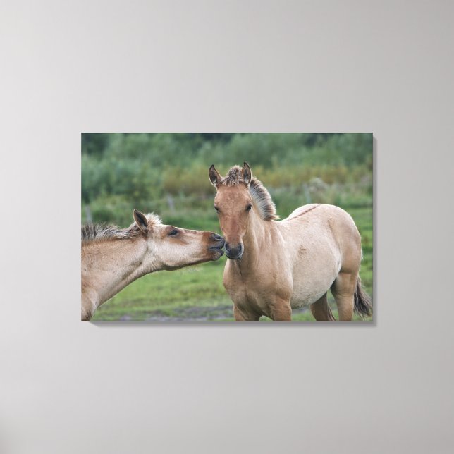 Toile Jeunes chevaux Henson se rencontrant (Recto)