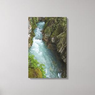 Toile Johnston Canyon