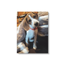 Joli Beagle Chiot avec couverture en fourrure impr