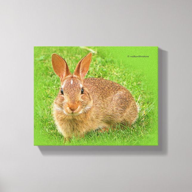 Toile Joli Bunny Nibbling Fairway Greens (Recto)