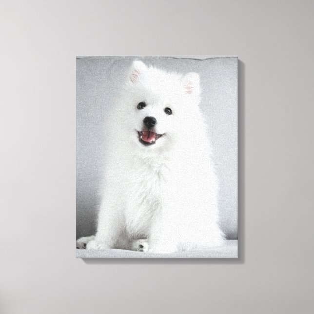 Toile Joli chiot Spitz japonais duveteux (Recto)