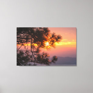 Toile Joli Coucher De Soleil Vu À Travers Les Branches D
