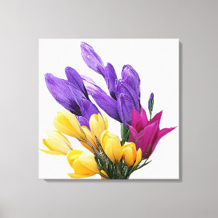 Toile Joli crocus tulip fleuri joliment coloré
