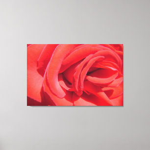 Toile joli rose rouge photo art. amour, mariage