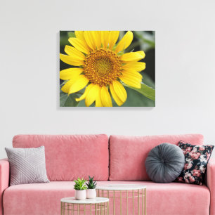 Toile Joli tournesol jaune soleil 20" x 16"