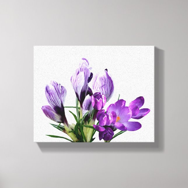 Toile Jolie crocus floral moderne numérique violet  (Recto)