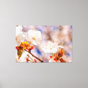 Toile Jolie fleur de Sakura par une journée ensoleillée 
