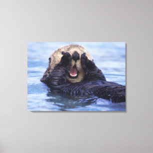 Toile Jolie loutre de mer   Alaska, États-Unis