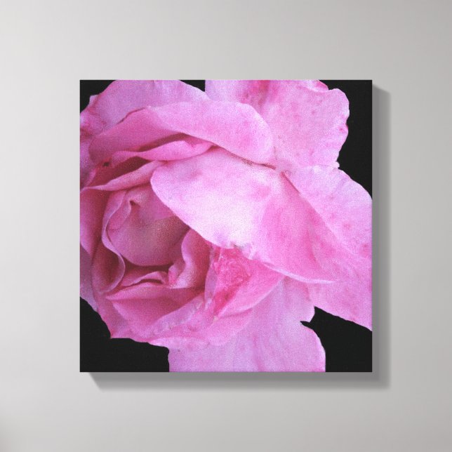 Toile Jolie rose rose simple moderne chic floral chic (Recto)
