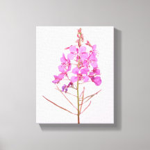 Jolies fleurs roses, botanique florale moderne sim
