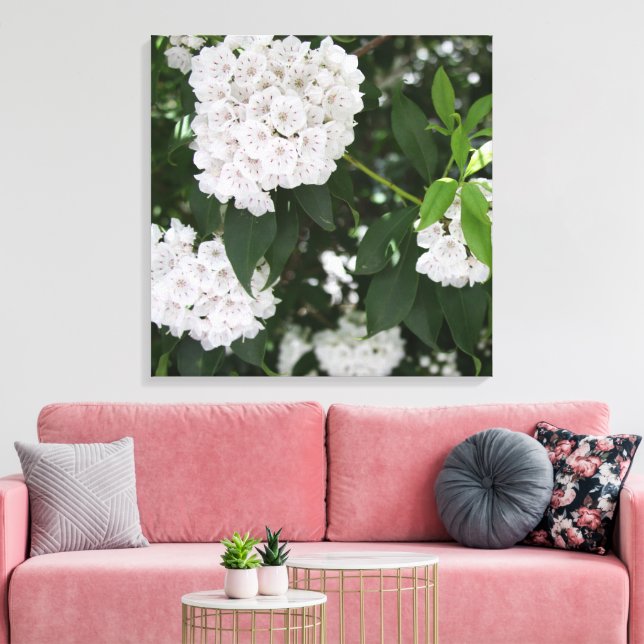 Toile Jolis Fleurs Blanches de Kalmia (Insitu(Salon))
