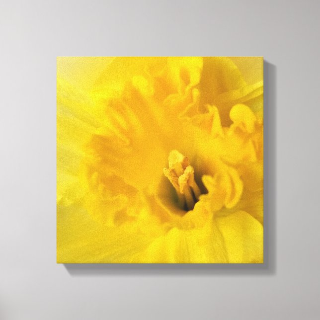 Toile jonquille jaune (Recto)