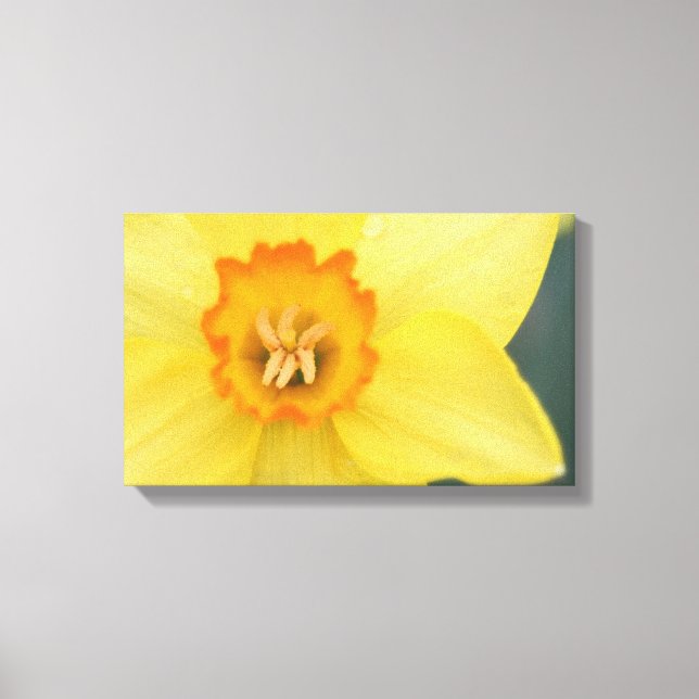 Toile jonquille jaune Imprimer (Recto)