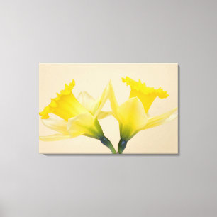 Toile Jonquilles jaunes