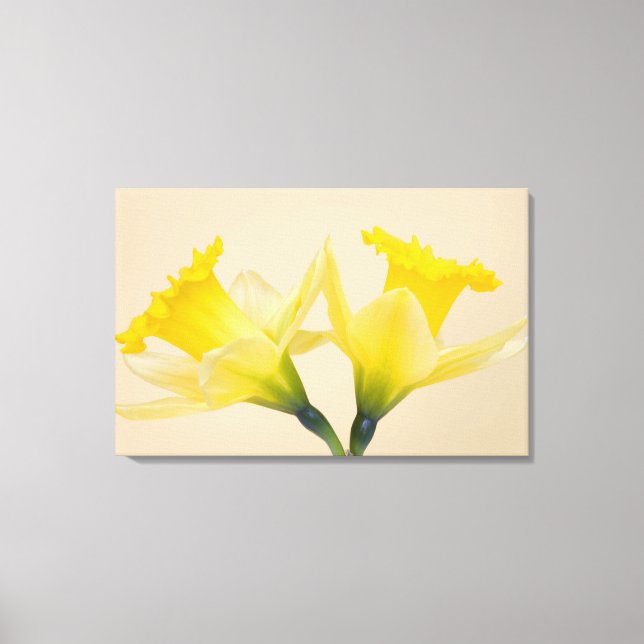 Toile Jonquilles jaunes (Recto)