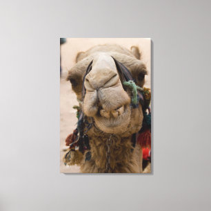 Toile Jordanie, ancienne ville nabatéenne de Petra