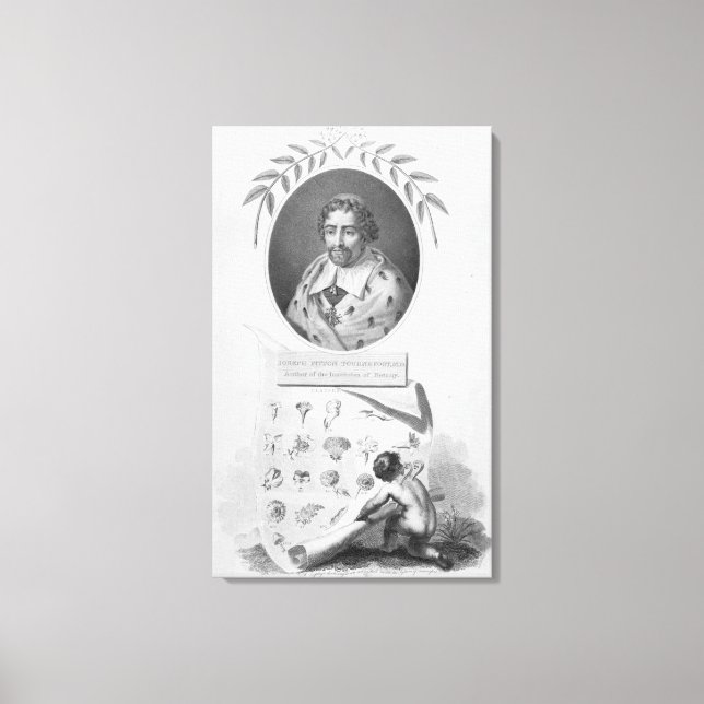 Toile Joseph Pitton de Tournefort (Recto)