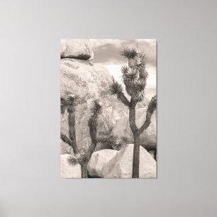 Toile Joshua Trees
