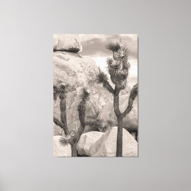 Toile Joshua Trees (Recto)