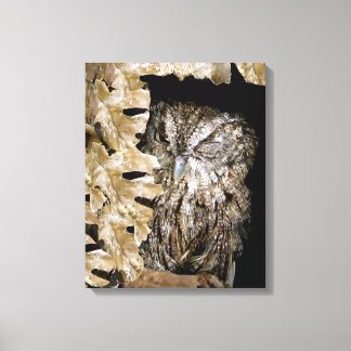 Toile Jote Owl Wink