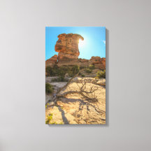 Journée du Parc National