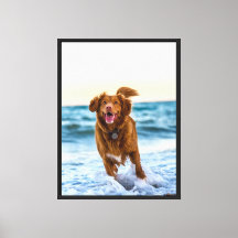 Joyeux chien jouant au bord de l'océan Joyful Beac