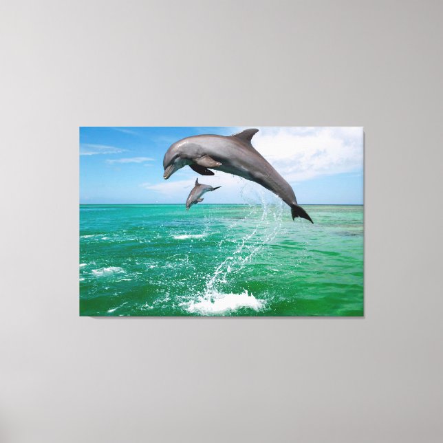 Toile Jumelage Dolphins personnalisées Canvas art mur (Recto)
