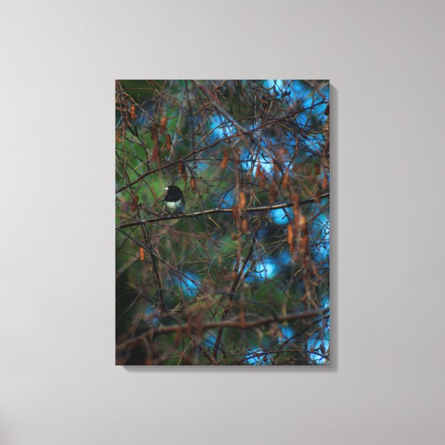 Toile Junco (Recto)