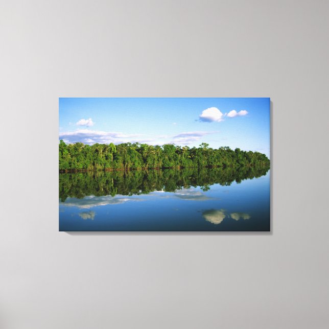 Toile Juruena, Brésil. Rive boisée de la rivière reflété (Recto)