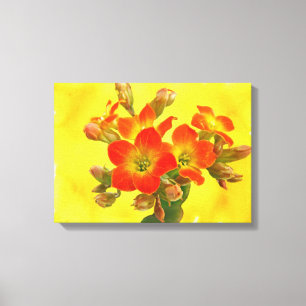Toile Kalanchoe rouge - Soleil Succulent