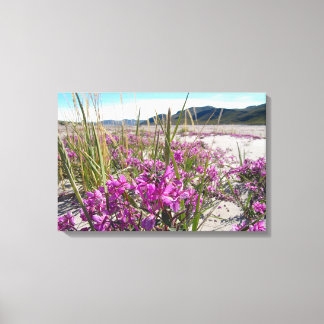 Toile Kangerlussuaq Groenland