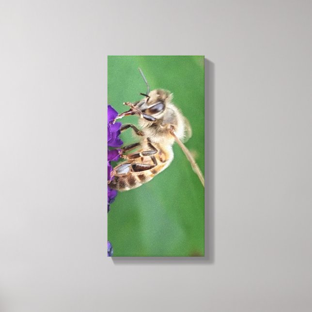 Toile Katharos. La pollinisation des abeilles. (Toile) (Recto)