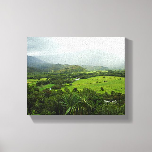 Toile Kauai, Hawaï Landscape Scene (Recto)