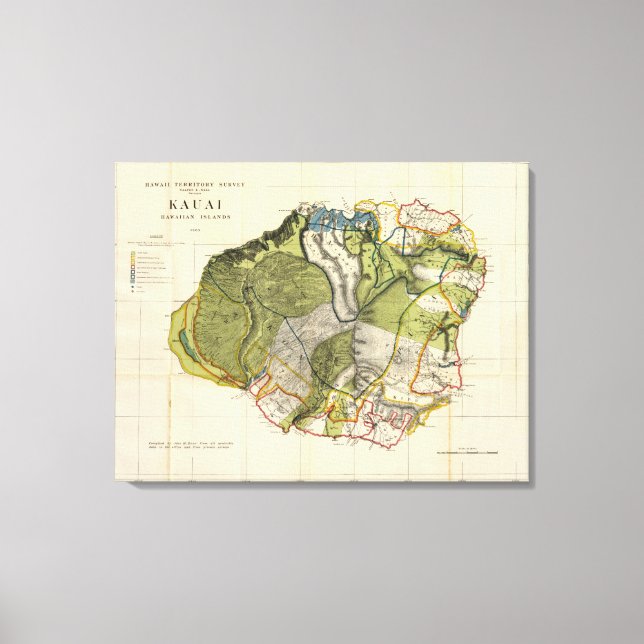 Toile Kauai, Hawaii (Recto)