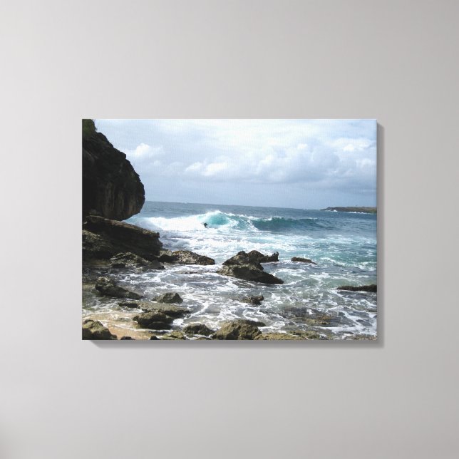 Toile Kauai Ocean Scene Canvas (Recto)