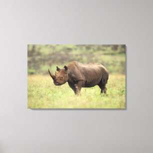 Toile Kenya, parc national de Nairobi. Rhinocéros noir