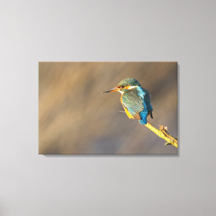 Toile Kingfisher