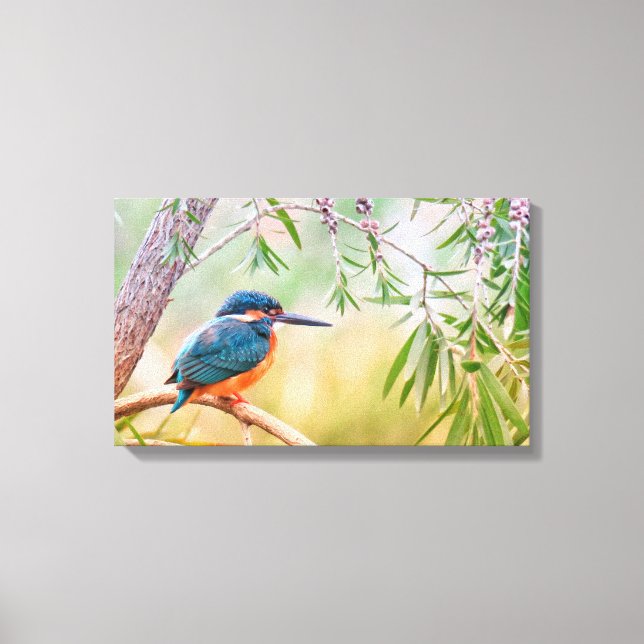 Toile Kingfisher Perché sur la branche (Recto)