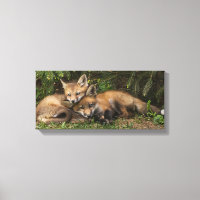 Kits de Fox