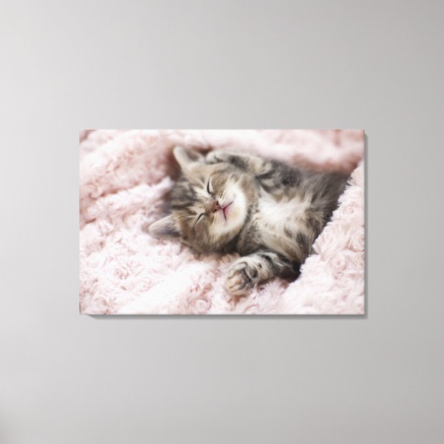 Toile Kitten Dormir sur la serviette (Recto)
