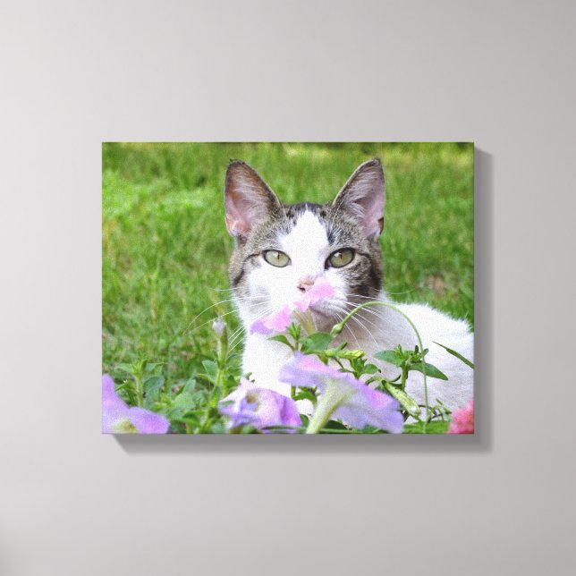 Toile Kitty et Pétunias roses (Recto)