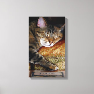Toile Kitty Sleepy Book