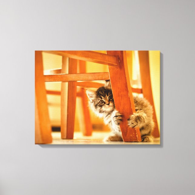 Toile Kitty Sous Présidence (Recto)