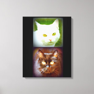 Toile kittycats blancs/noirs