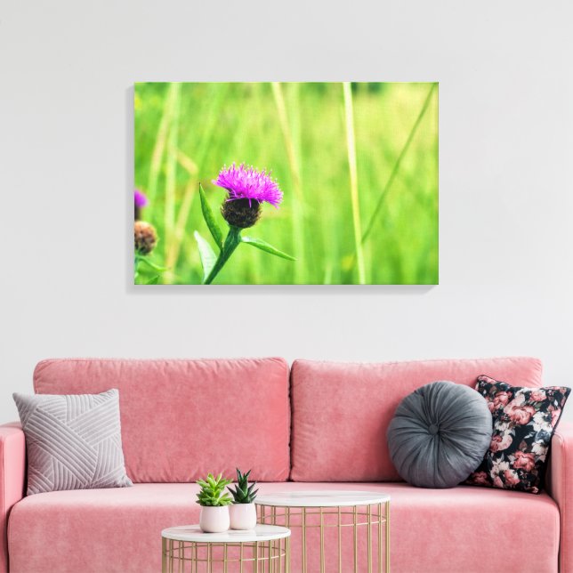Toile Knapweed (Insitu(Salon))