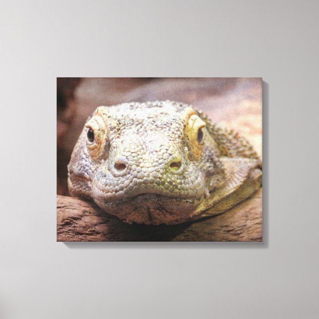 Toile Komodo Dragon Photo Avec Triste Visage (Recto)