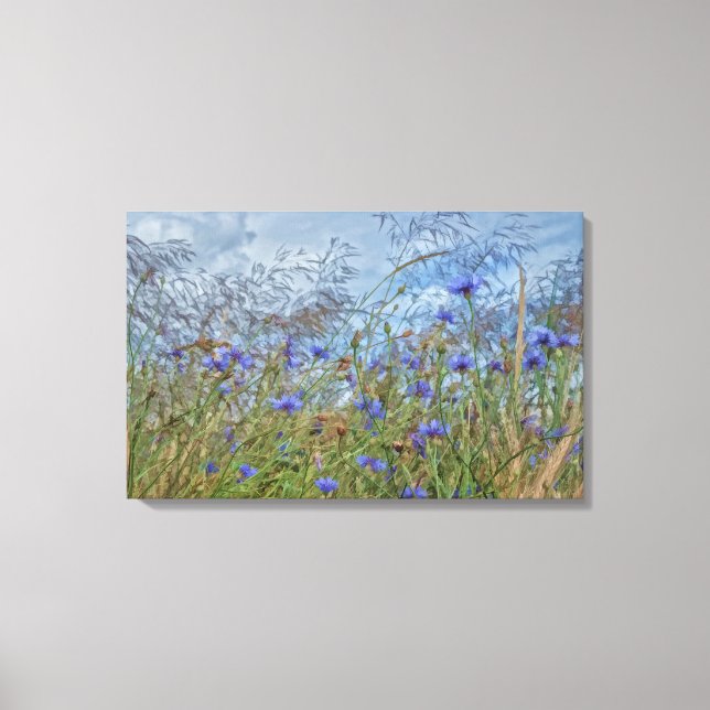 Toile Kornblumen (Recto)