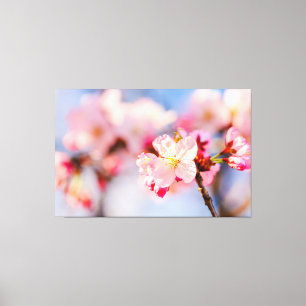 Toile La beauté éclatante des fleurs de sakura roses