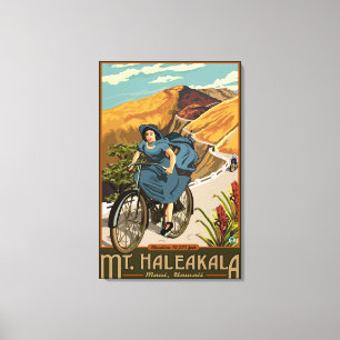 Toile La bicyclette de Mt. Haleakala monte Hawaï